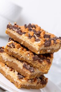 Pioneer Woman Chocolate Chip Bars Recipe