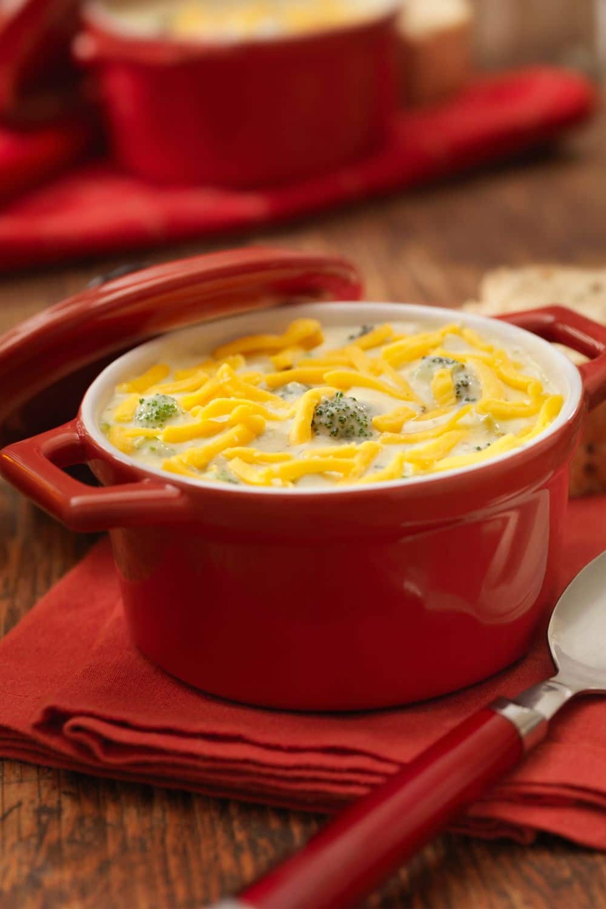 Ina Garten Broccoli Cheddar Soup Recipe