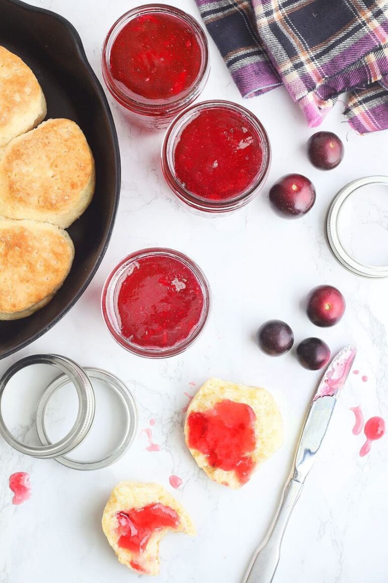 Pioneer Woman Muscadine Jelly Recipe