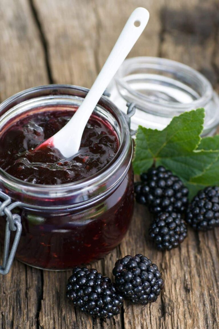 Pioneer Woman Blackberry Freezer Jam Without Pectin Recipe