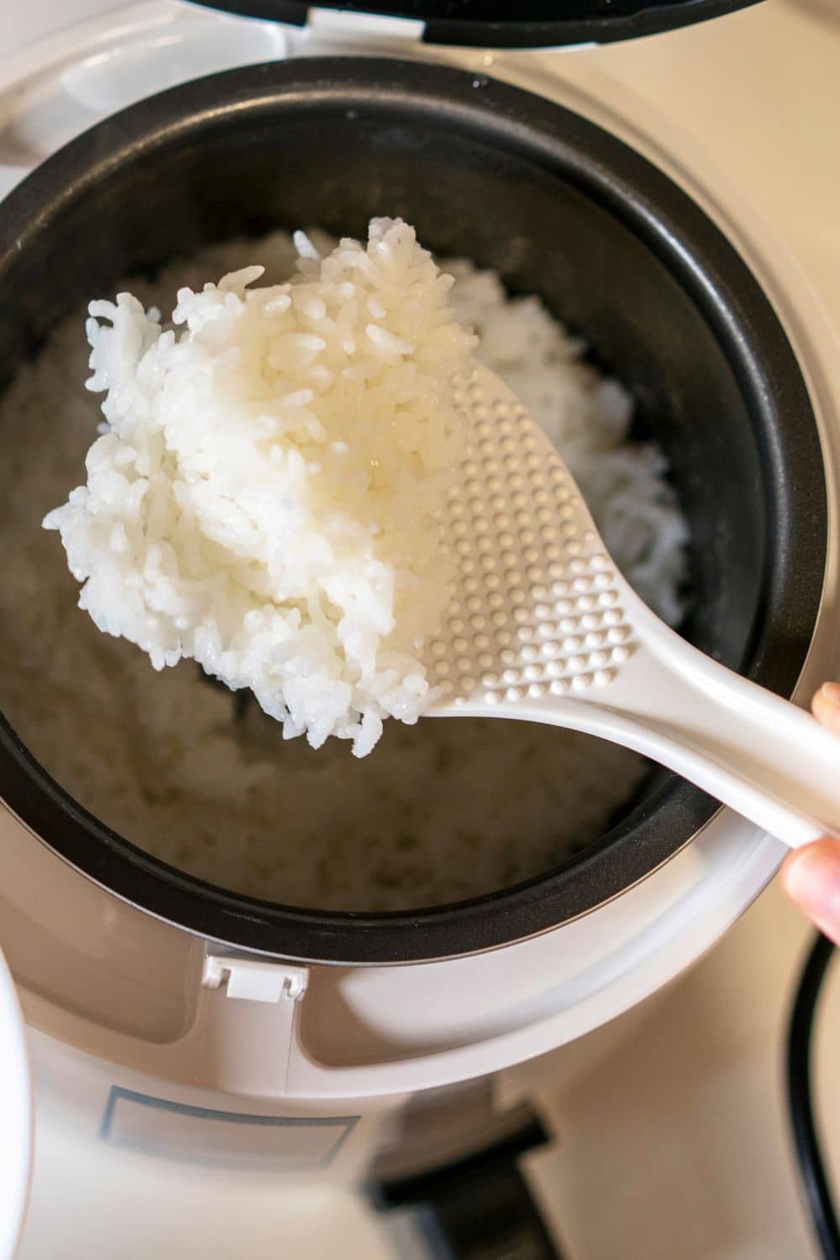 Chicken Broth Rice Cooker Recipe