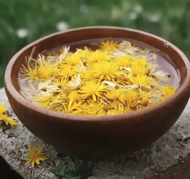 Dandelion bitter Recipe