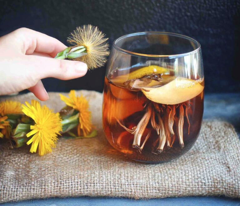 Dandelion Soda Recipe