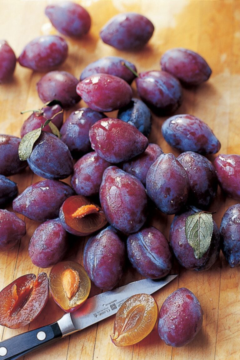 Rustic Italian Plum Tart Recipe