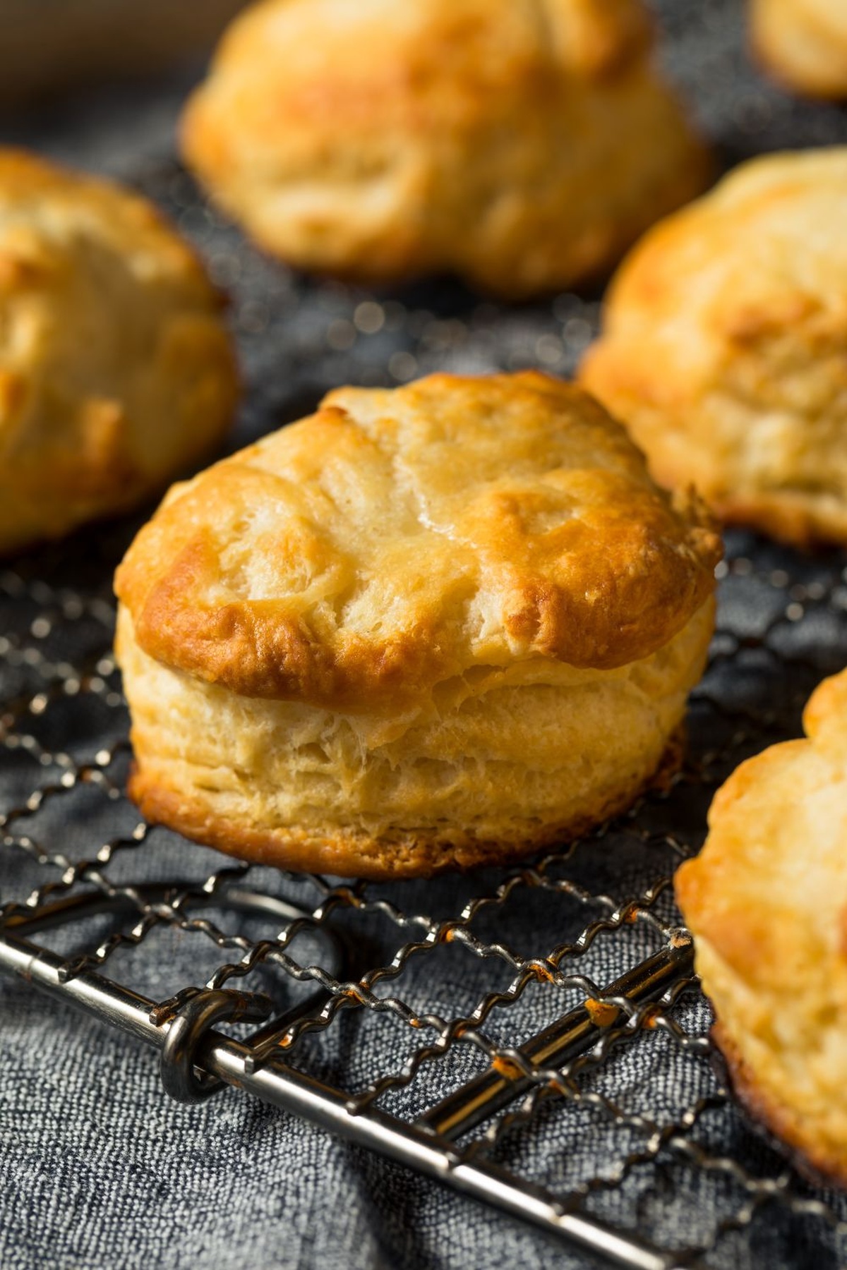 Joy Of Cooking Biscuit Recipe
