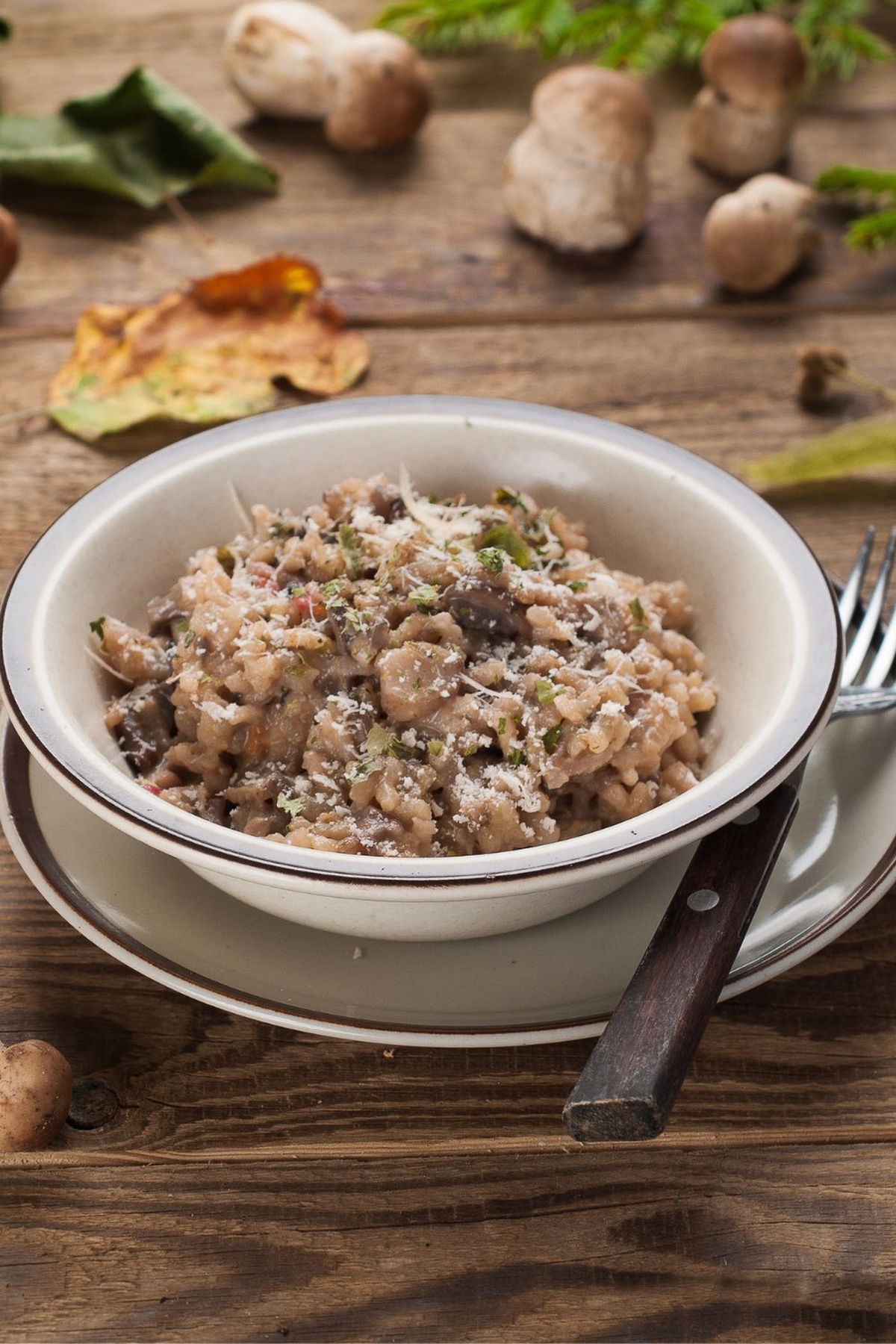 Savory Bobby Flay Mushroom Risotto Recipe