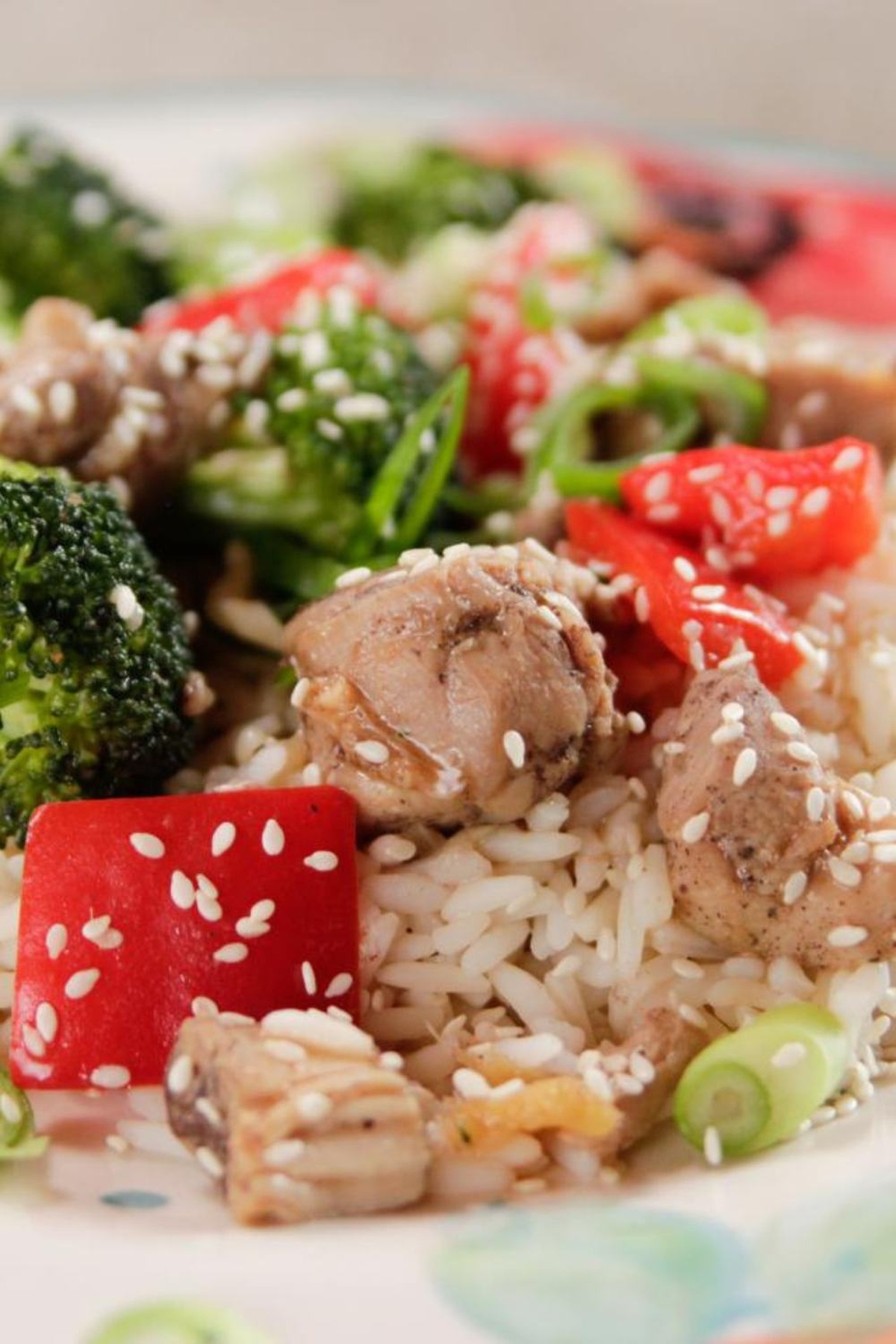 Pioneer Woman Slow Cooker Chicken And Rice Recipe