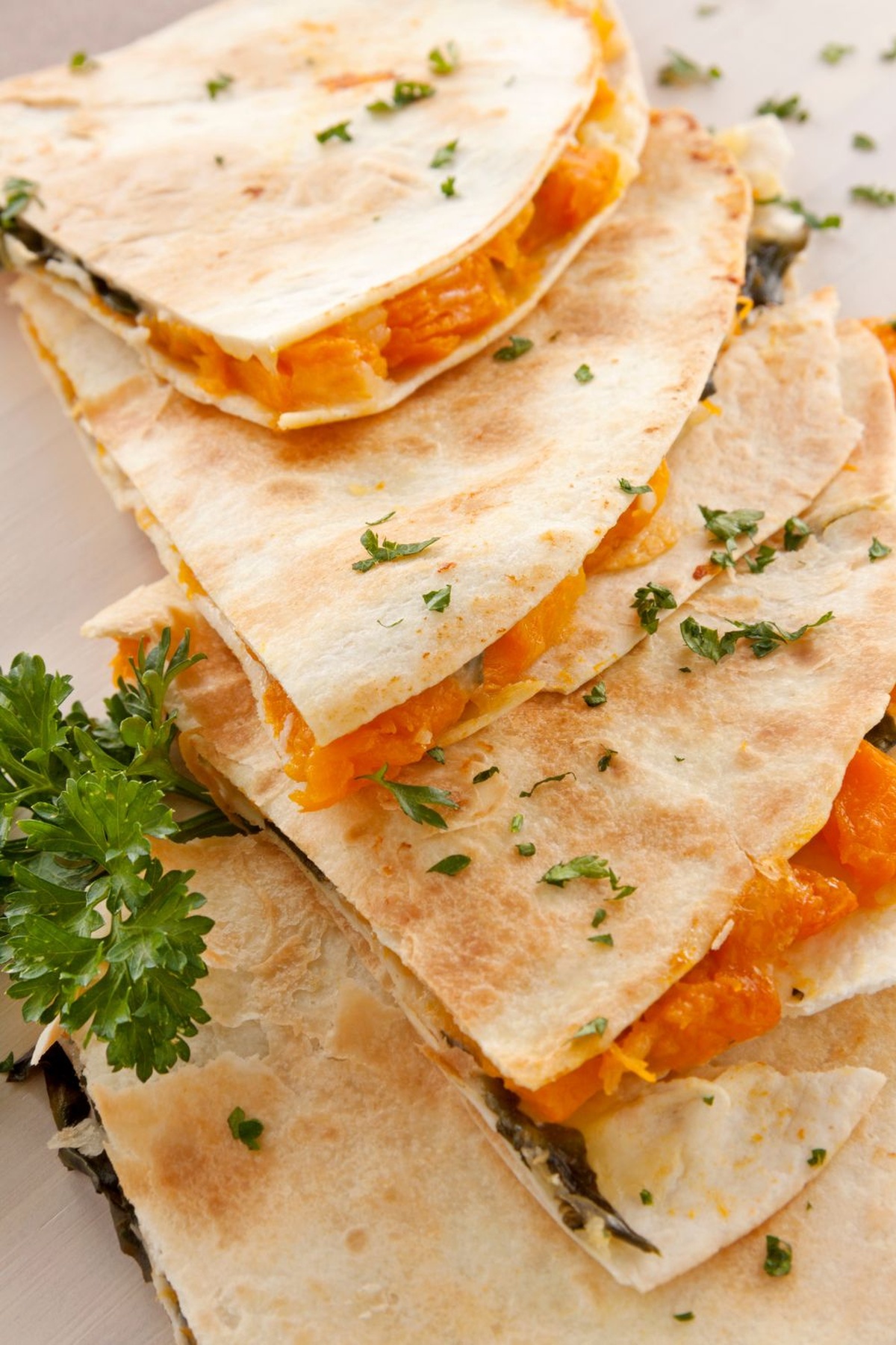 Elegant Smoked Salmon Quesadilla Recipe