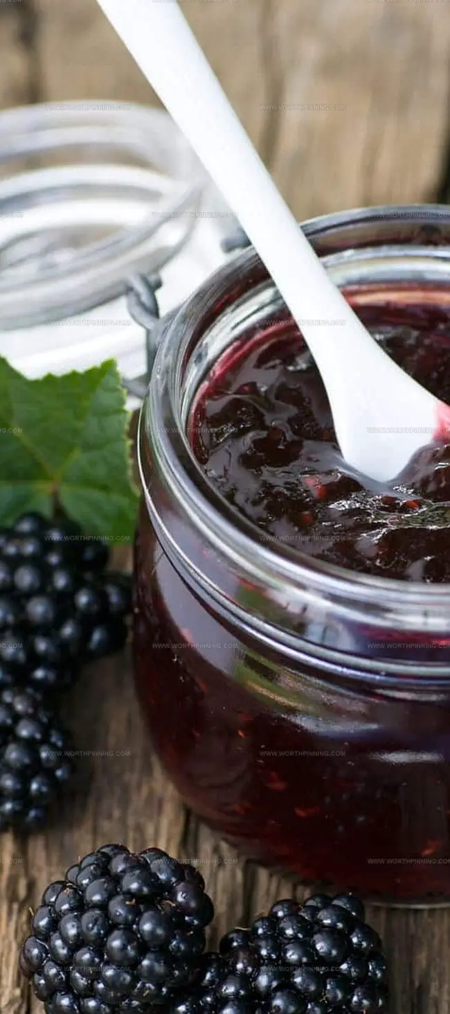 Clever Storage Solutions for Pioneer Woman Blackberry Freezer Jam Without Pectin