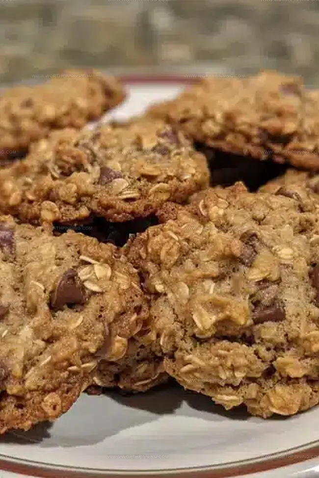 What Makes Chewy Chocolate Chip Oatmeal Cookies So Good