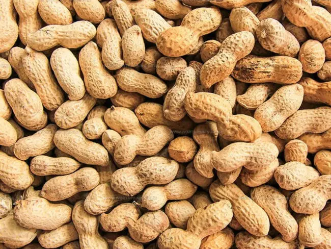 Peanuts
