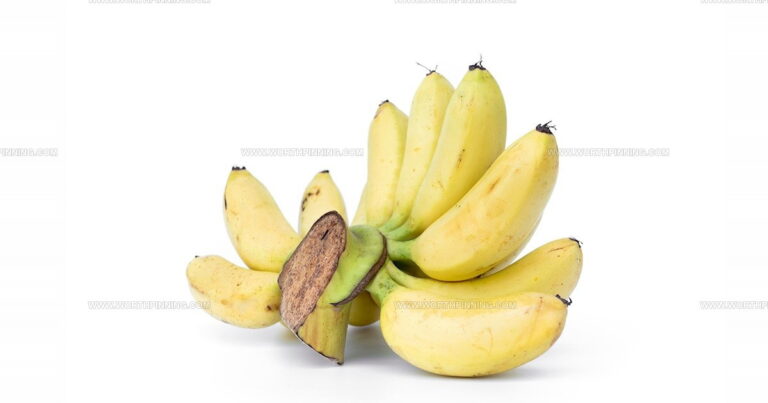 25 Rare Southeast Asian Fruits Every Food Lover Needs
