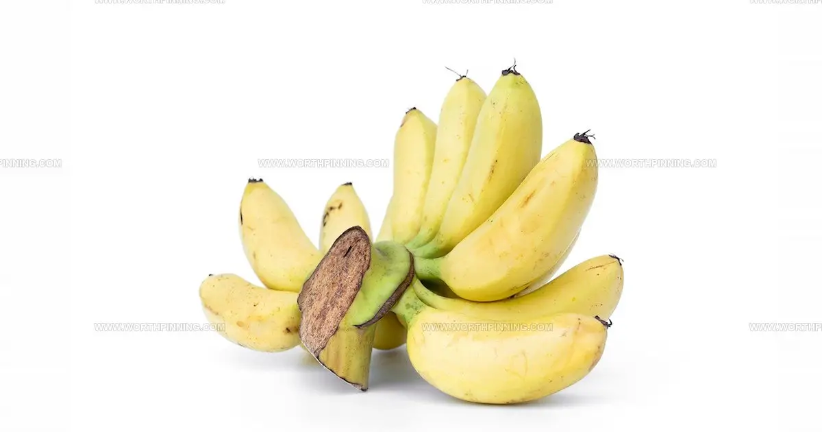 25 Rare Southeast Asian Fruits Every Food Lover Needs