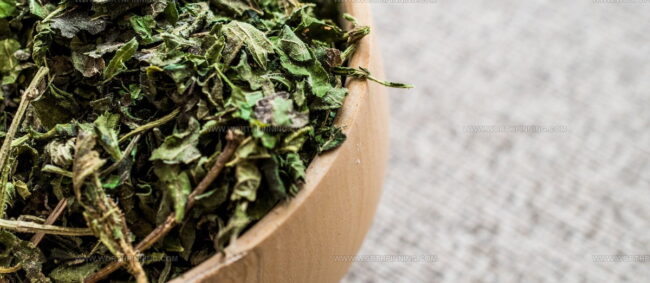 Mau Forest Dried Nettles