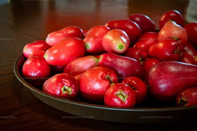 Otaheite Apples