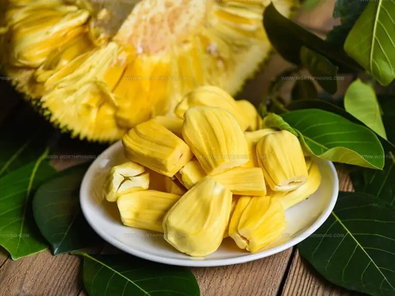 Jackfruit or Breadfruit: Which Tropical Fruit Wins?