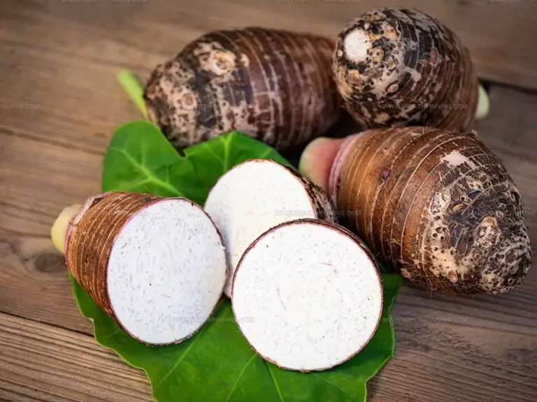 Ube or Taro: Which Purple Favorite Should You Choose?