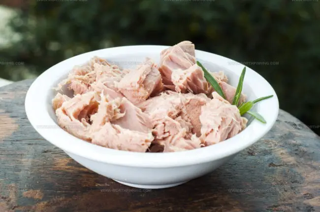 Albacore White Tuna