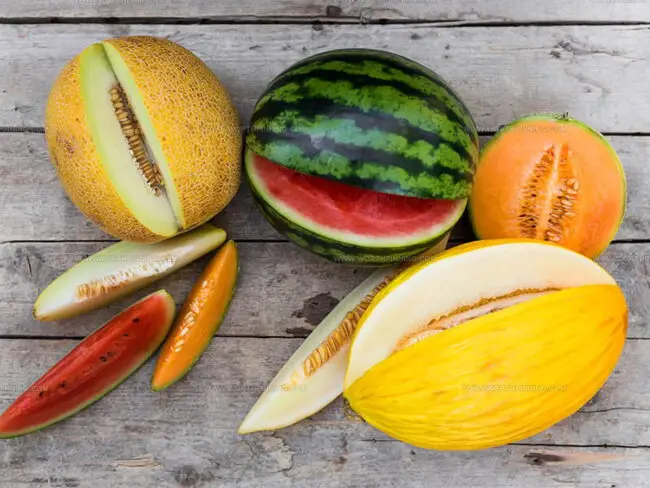 Comparing Cantaloupe vs. Muskmelon: The Similarities