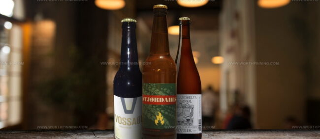 Norwegian Farmhouse Ale (Maltl)