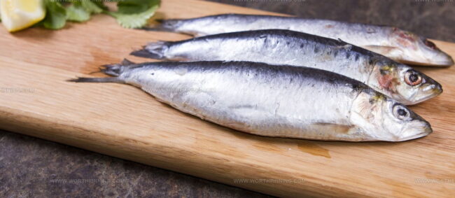 Cornish Sardines