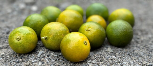 Calamansi