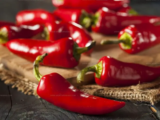 How to Adjust Heat When Using Fresno Chili Substitutes