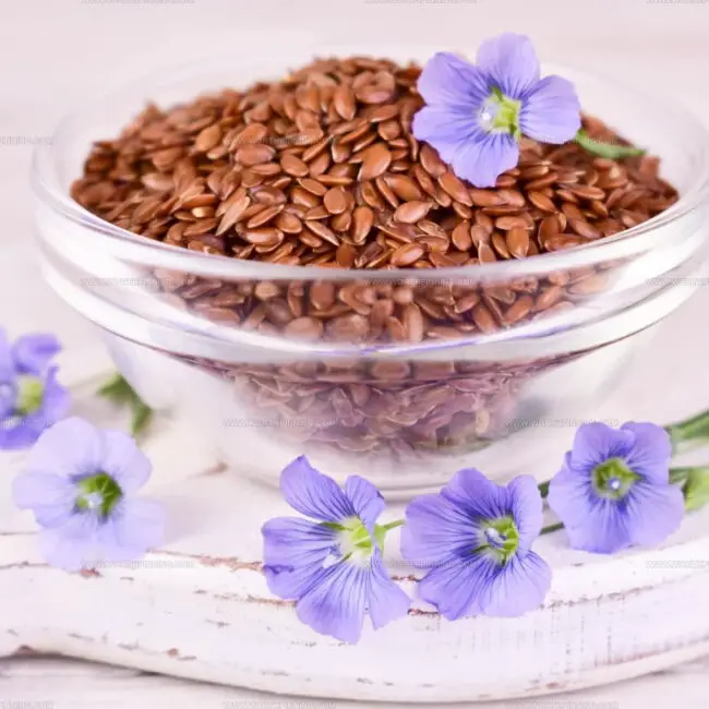 Flaxseed
