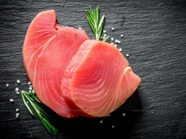 All About Tuna in One Place