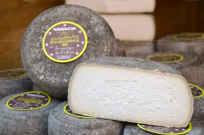 Queso Garrotxa