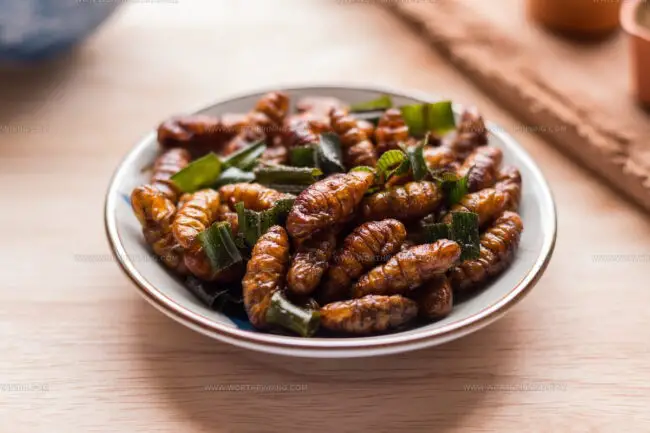 Deep-Fried Silk Worms (Hon Mhai)