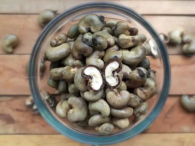 Cashew Nuts