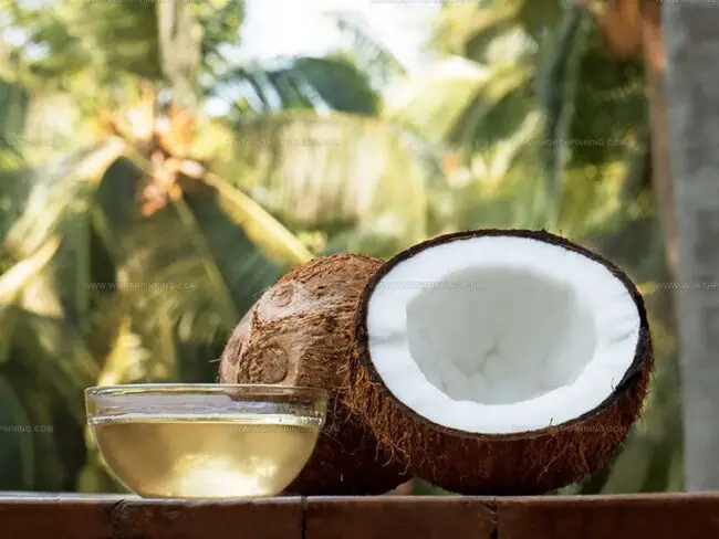 Coconuts