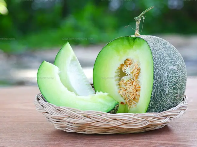 Honeydew