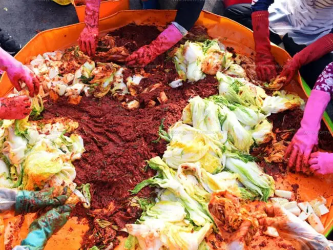 The Story Of Kimchi