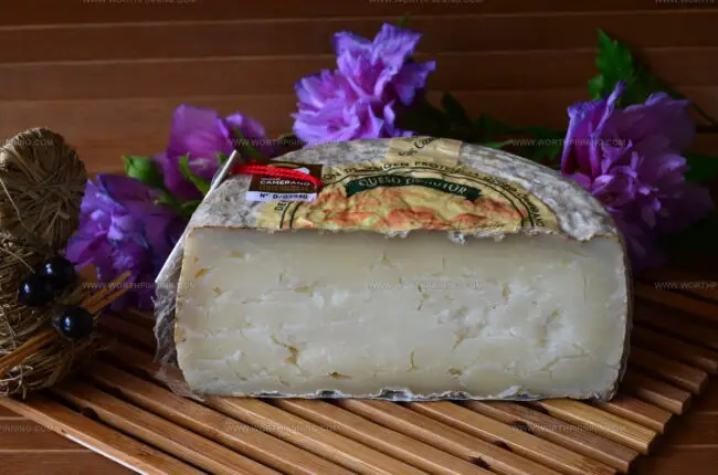 Queso Camerano