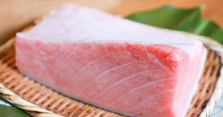 24 Gorgeous Saltwater Fish Varieties Worth Exploring